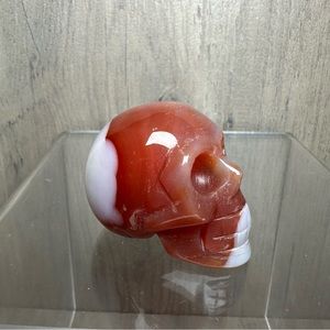 Sardonyx Silky Agate Skull Crystal Stone Carving Figurine Statue